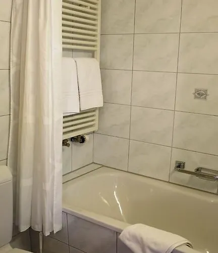 Готель Alpina 2*