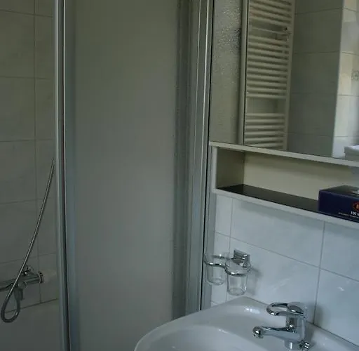 Alpina Готель 2*