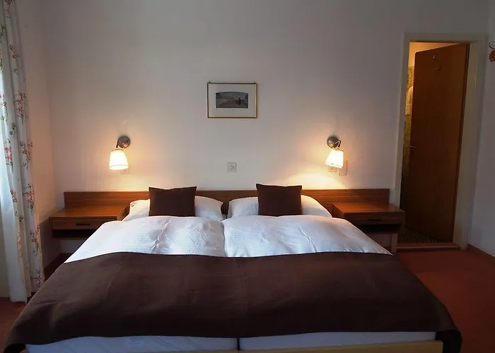 Готель Alpina Давос